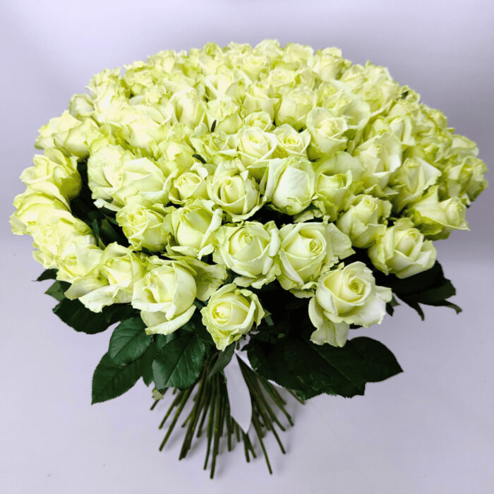 101 біла троянда 80 см "Аваланч"
