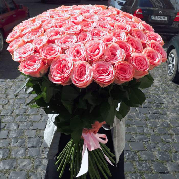101 троянда "Софі Лорен"