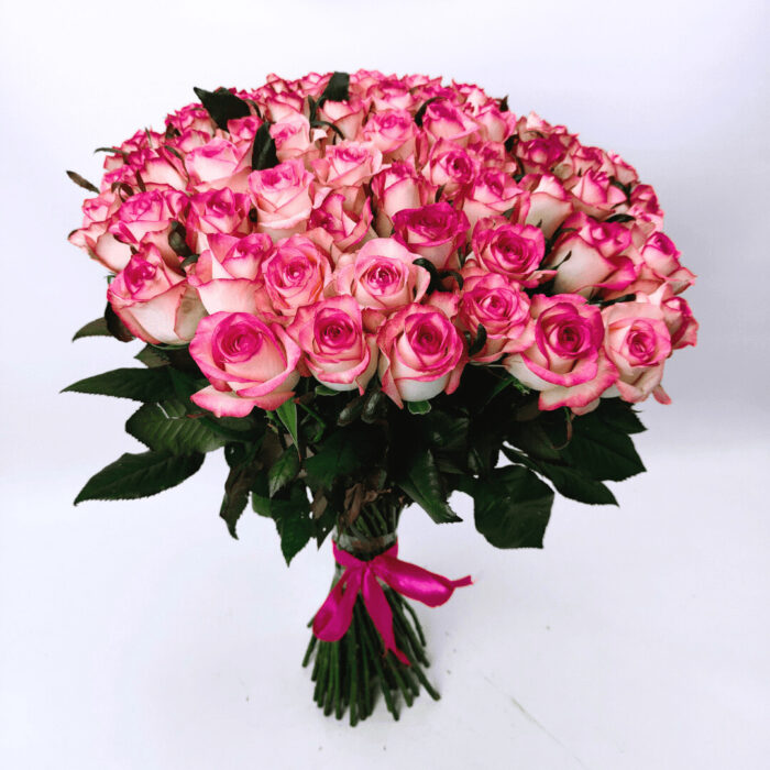 77 рожевих троянд 70 см "Джумілія"