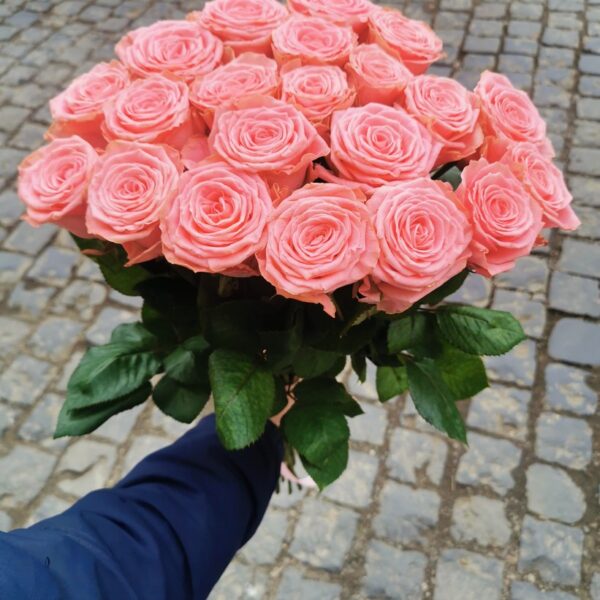 букет 21 троянда Софі Лорен