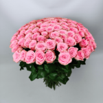 101 троянда "Софі Лорен"