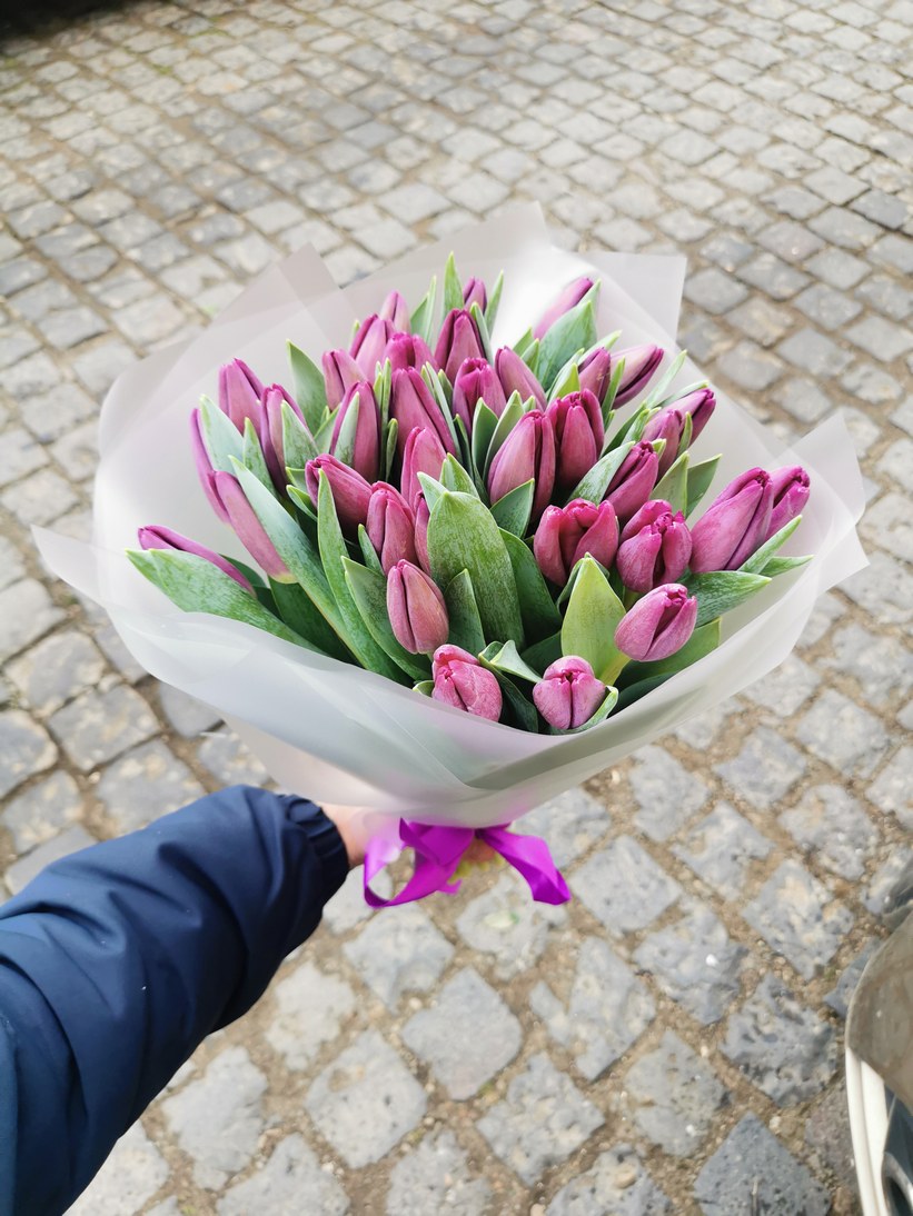 букет 35 фіолетових тюльпанів