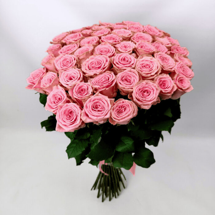 51 троянда Софі Лорен