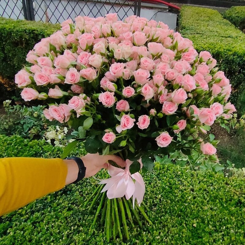 Букет 51 кущова ніжно-рожева троянда