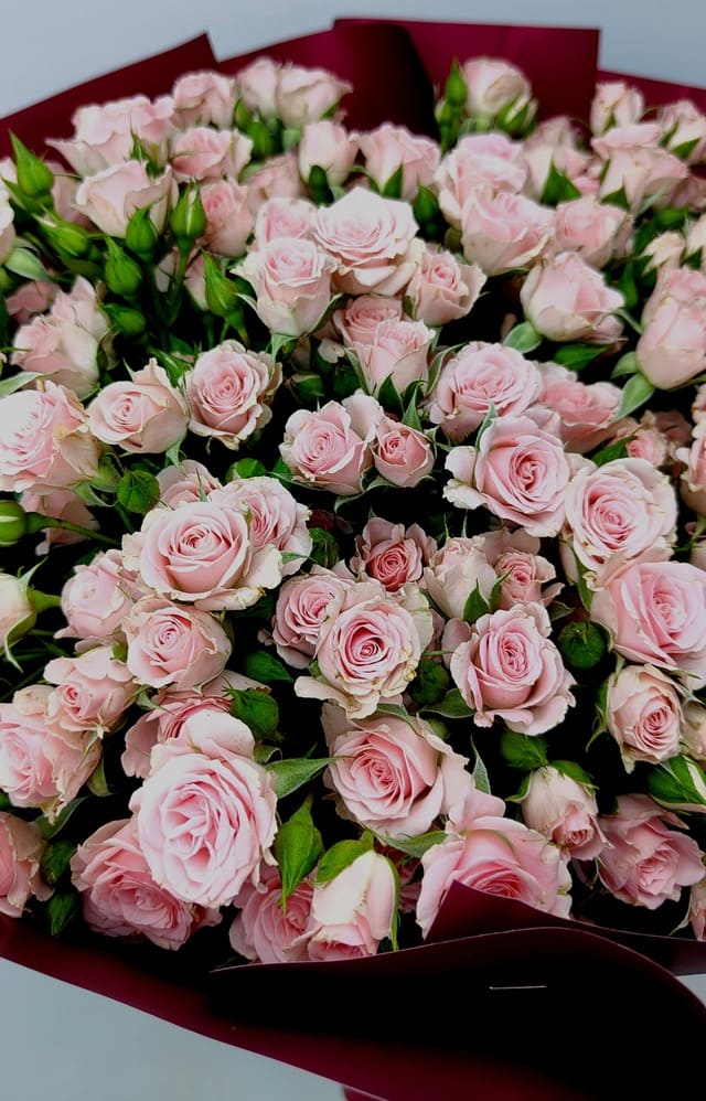 Букет 25 кущових ніжно-рожевих троянд