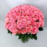 101 троянда Анна Каріна