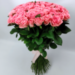 101 троянда Анна Каріна