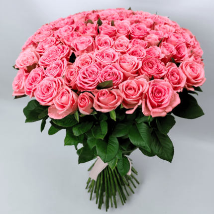 101 троянда Анна Каріна