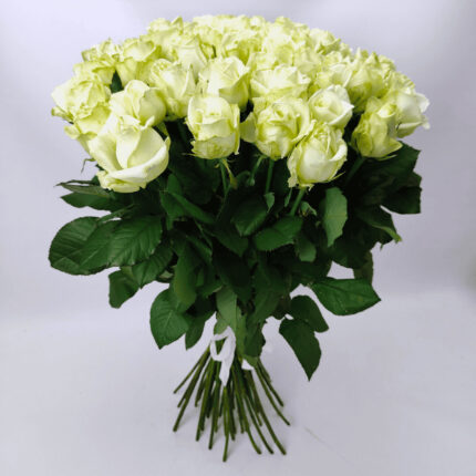 51 біла троянда 80 см "Аваланч"