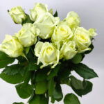 11 білих троянд 80 см "Аваланч"