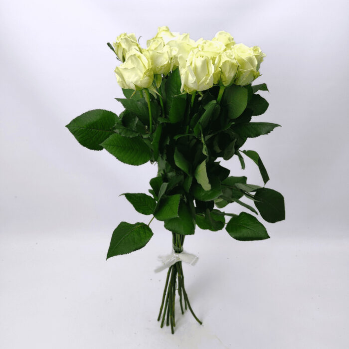 11 білих троянд 80 см "Аваланч"