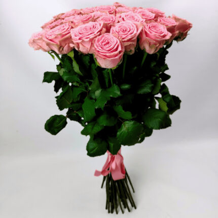 33 рожеві троянди 80 см "Софі_Лорен"