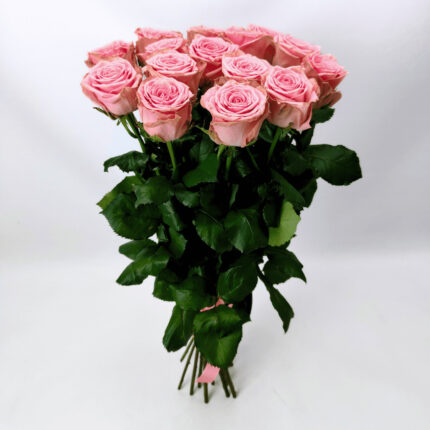15 рожевих троянд 80 см "Софі_Лорен"