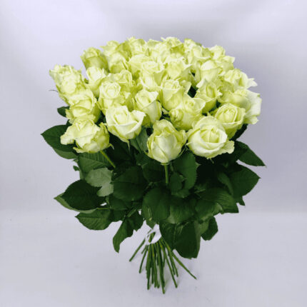 39 білих троянд 80 см "Аваланч"