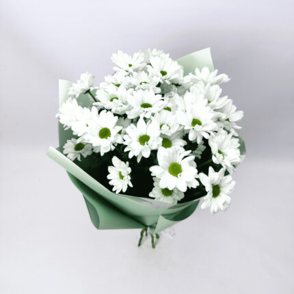 5 білих хризантем 70 см у зеленому уп.