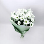 5 білих хризантем 70 см у зеленому уп.