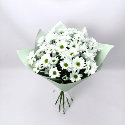 9 білих хризантем 70 см у зеленому уп.