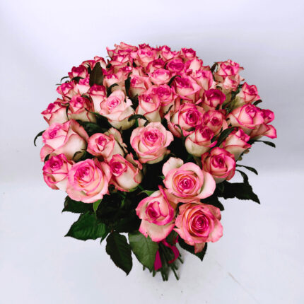 51 рожева троянда 70 см "Джумілія"