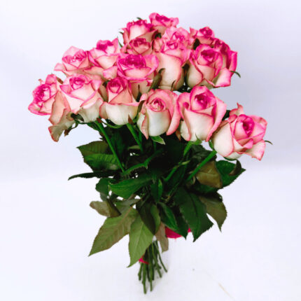 17 рожевих троянд 70 см "Джумілія"