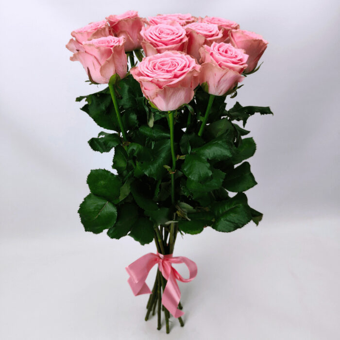 11 рожевих троянд 80 см "Софі_Лорен"