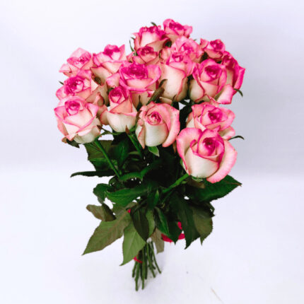17 рожевих троянд 70 см "Джумілія"