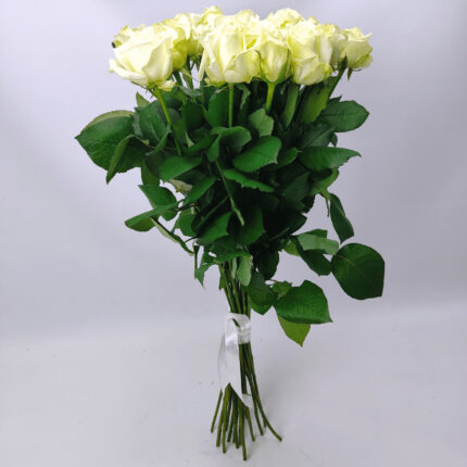 17 білих троянд 80 см "Аваланч"