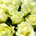 25 білих троянд 80 см "Аваланч"