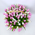 135 біло-рожевих тюльпанів у корзині