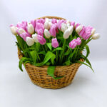 135 бело-розовых тюльпанов у корзине