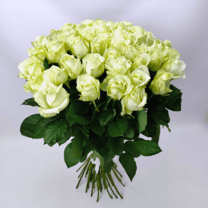 51 біла троянда 80 см "Аваланч"