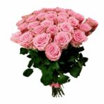 Рожеві троянди Софі Лорен