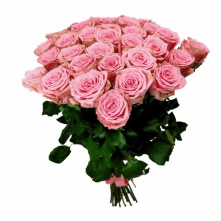 рожеві троянди Софі Лорен купити в чернівцях