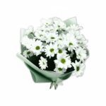 5 білих хризантем