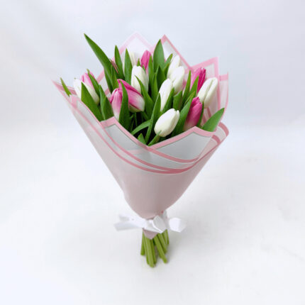 15 біло - рожевих тюльпанів