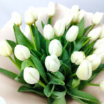 15 білих тюльпанів