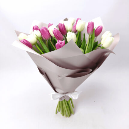 25 біло - фіолетових тюльпанів