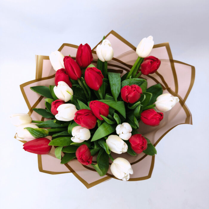 15 біло - червоних тюльпанів