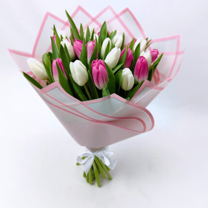 25 біло - рожевих тюльпанів