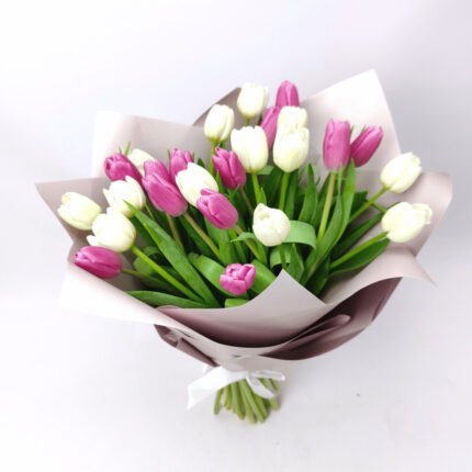 25 біло - фіолетових тюльпанів