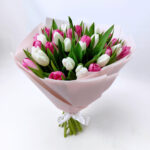 31 біло - рожевий тюльпан