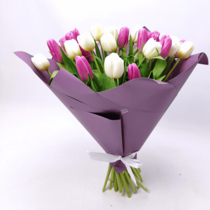 31 білий і фіолетовий тюльпан