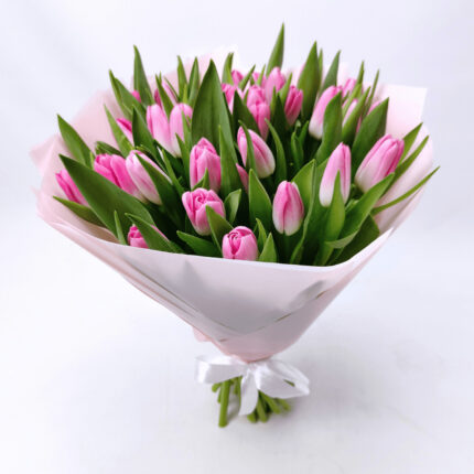 31 рожевий тюльпан