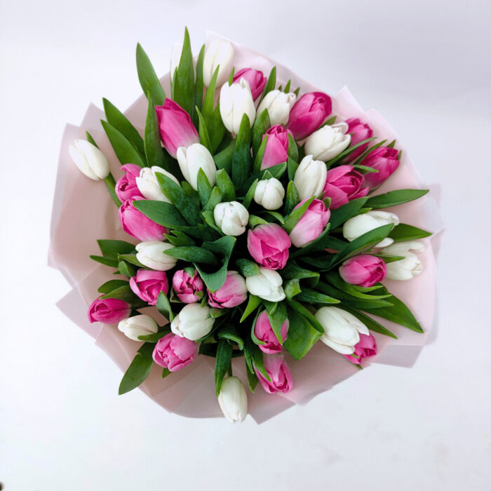 39 біло - рожевих тюльпанів