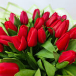 39 червоних тюльпанів