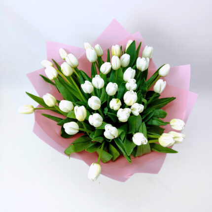 39 білих тюльпанів