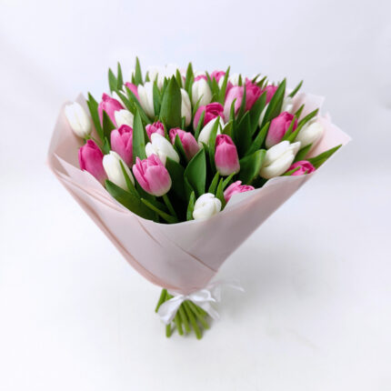 39 біло - рожевих тюльпанів