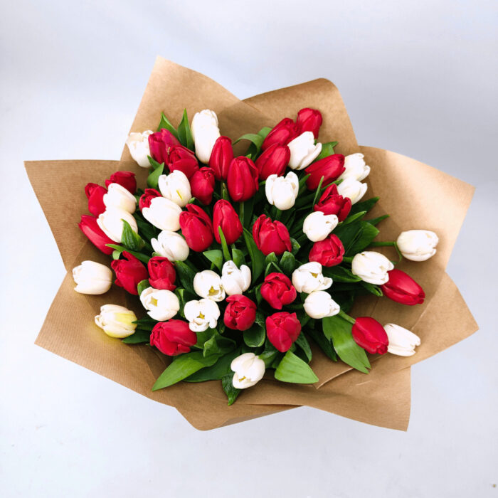 15 біло - червоних тюльпанів