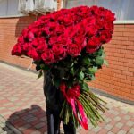 101 Експлоуер 100 см