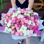 51 мікс бомастиків