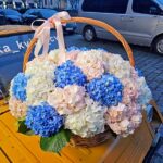 Кошик з гортензіями у білих і блакитних відтінках